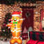 PMU Christmas - gonflable Holiday