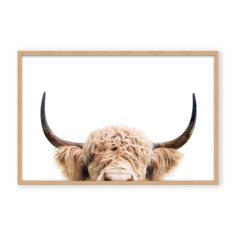 Nature Inspired Peeking Cow by  - Picture Frame Photograph on Paper, 32" H x 48" W x 1.125" D, Framed Print, Brown