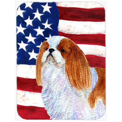 Planche à découper en verre « American Flag » avec anglais Toy USA