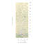 Schumacher x Miles Redd Brighton Pavilion Panel-88360638