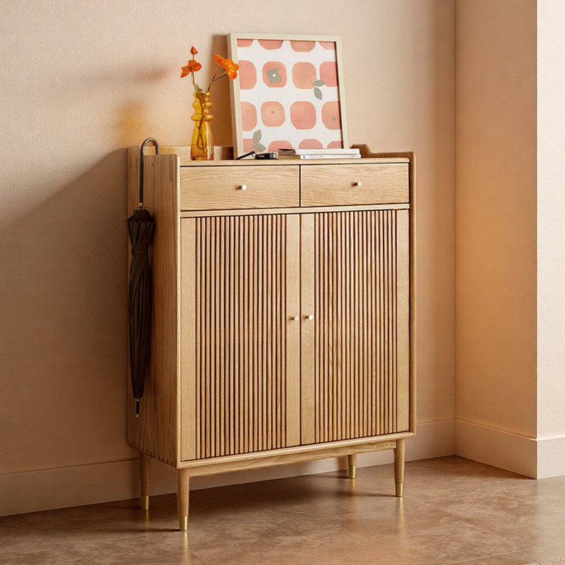 Armoire à chaussures moderne, simple et tendance