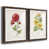 Papier, cadre noyer n'est pas disponible