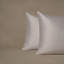 Americano Cotton Sateen Pillowcase, Pair-152497647