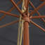 Market Parasol