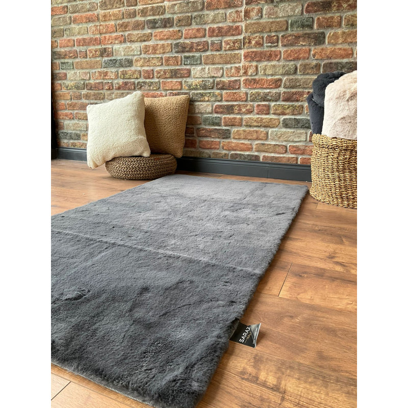 Dobney Premium Anthracite Carpet, 23.6 x 70.9 Inches | 100% Polyester, 0.2 Inches Thick, 600 g/m² | Antibacterial & Machine Washable at 86°F | Ideal for Living Room, Bedroom, and Entryway, Stylish & Durable Design