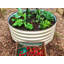 Lit de jardin surélevé rond 17 po-485787194