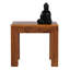 Mumbai Solid Wood End Table
