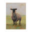 « away from the troupeau i », peinture sur toile tendue-1812809371