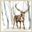 Elk In The Forest 2 Print