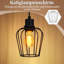 2-Light Black Semi Flush Mount