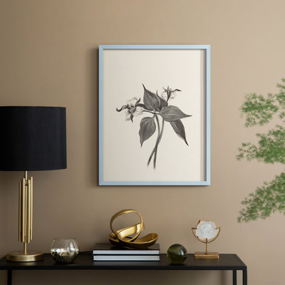 Vintage Floral Print CLXX Framed Print - Solid Wood