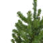 48 arbres de Noël