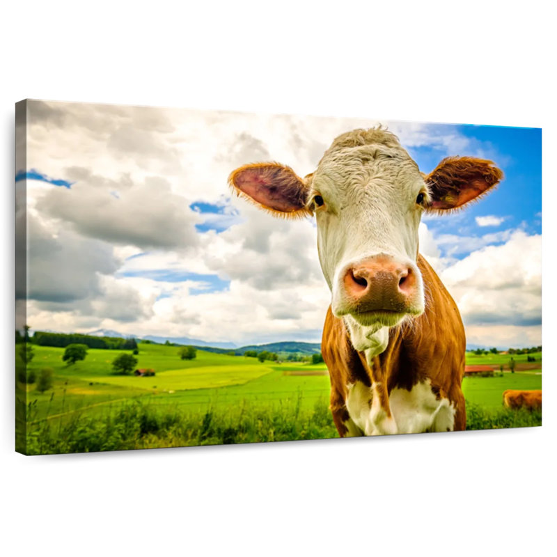Vache des Alpes européennes