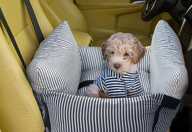 Just for You: Travel Dog Carriers