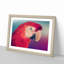 Geometric Scarlet Macaw Parrot in Abstract - Framed Print-55727002-55727005