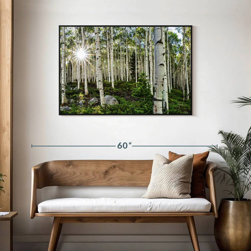 Harnek Aspen Forest Sunburst, H 29 po x l 43 po
