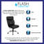 Blue Elephant Mesh Executive Chair with Headrest-617493408