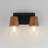 Remora 2 - Light Dimmable Vanity Light