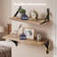Solid Wood, Paulownia Wood Floating Shelf