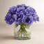 Poppy In Cylinder Glass-36623161
