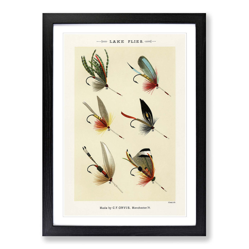 Lake Fishing Flies Version 1 by Mary Orvis Marbury - Picture Frame Painting Print, Black, 76cm H x 50cm W x 2cm D