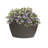 Corner Plastic Pot Planter-14212055