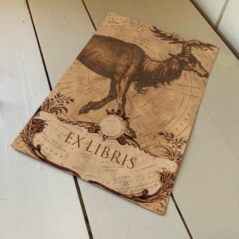 Mythical Deer - No Frame Print on Metal