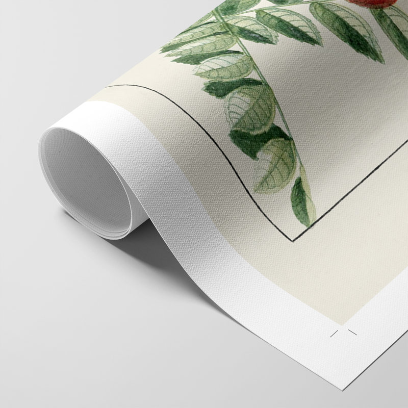 Turpin Tropical Botanicals III - Impression sur toile seulement - NON-CADRE, H 60 po x l 40 po