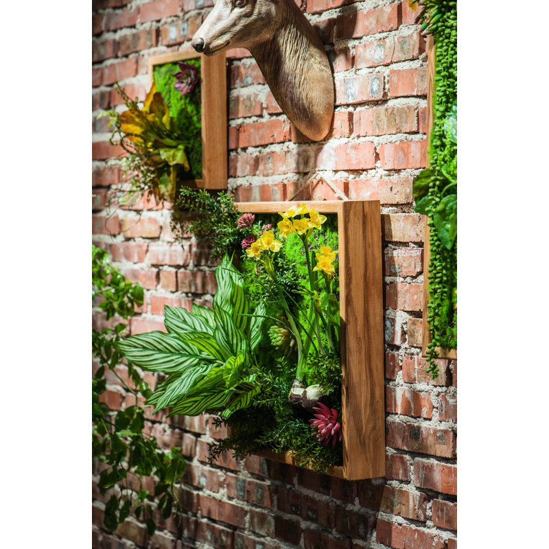 11.8'' Faux Succulent Plant in Wood Planter
