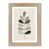 French Oak is out of stock selected