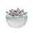 Glass Trinket Box-888858014-888858015