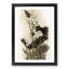 Lotus Flowers - Framed Print-55577434-55577437
