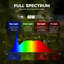 Éclairage sur rail Barrina Tr40a