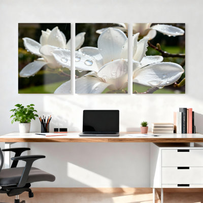 Ensemble de 3 tableaux sur toile tendue représentant des fleurs de magnolia blanc avec des gouttes d'eau, pour la décoration du salon et de la chambre.