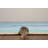 Madelyn Washable Ivory and Blue Machine Woven Area Rug-483316751