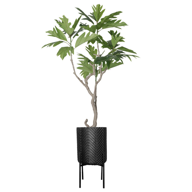 84'' Faux Fiddle Tree Tree in Pot