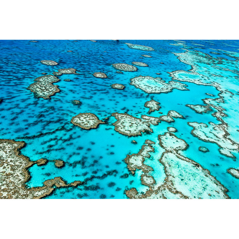 Great Barrier Reef - Wrapped Canvas Print, 30cm H x 46cm W x 3.8cm D