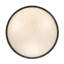 Dionne 3 - Light Semi Flush Mount