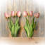 Tige de tulipe douce au toucher-580766162
