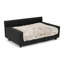 Canapé-lit orthopédique pour chien Dream Haven - Sable-962161606-1067575991