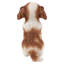 Statue chiot cavalier King Charles Spaniel priant