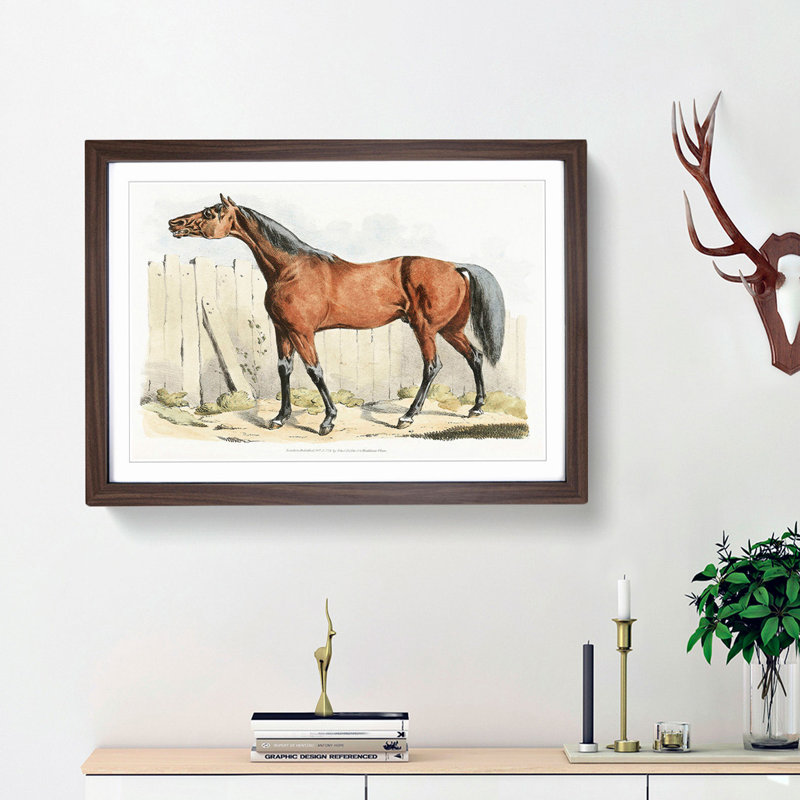 Dark-Brown Horse by Henry Alken - Picture Frame Painting Print, 48cm H x 65cm W x 2cm D, Walnut Framed