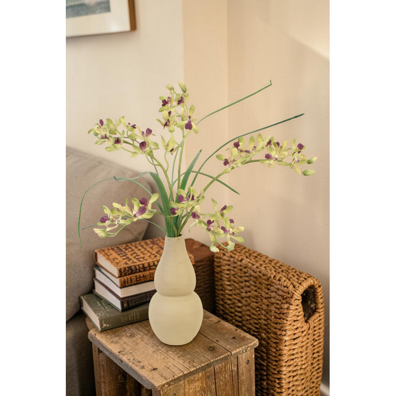 Orchidées vertes Vanda dans un vase Rio