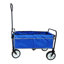 Chariot de plage pliable-118504537