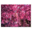 Rose et mauve, fantaisie, paysage de forêt - décoration murale traditionnelle sur toile-580946252-580946251