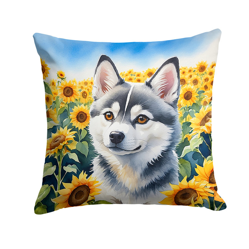 Coussin décoratif intérieur / extérieur Autre / Sans motif, H 18 po x l 18 po