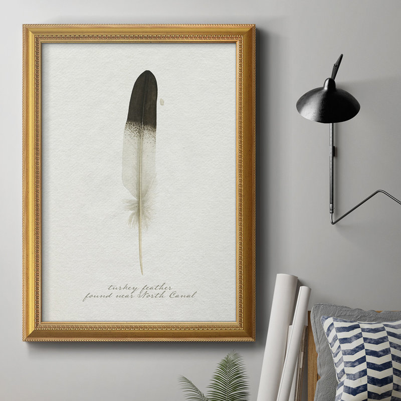 Found Feather IV " Found Feather IV ", 20" H x 16" W x 2.5" D