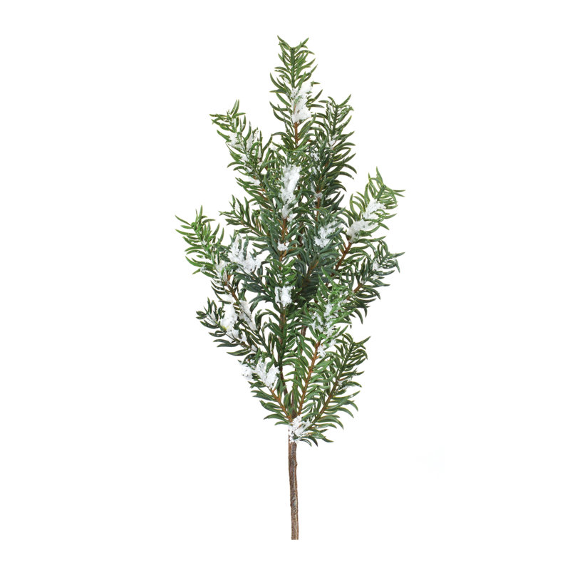 Arrangement