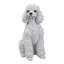 Statue caniche assis-935637460
