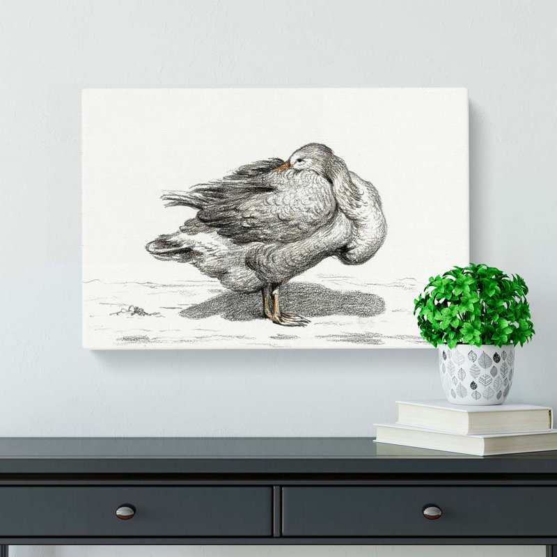 Goose by Jean Bernard - Wrapped Canvas Print, 50cm H x 76cm W x 3cm D